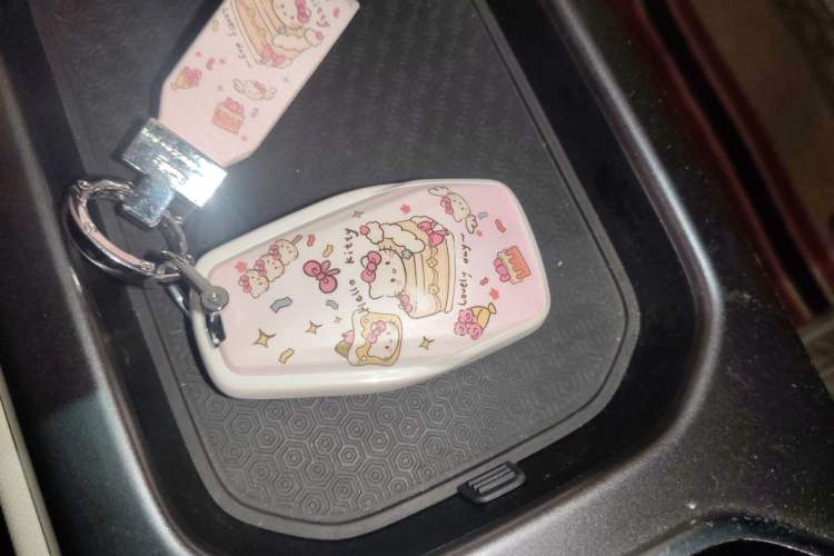 Used Geely Auto icon 2023 1.5TD Chocolate Luxe Edition Vehicle Key