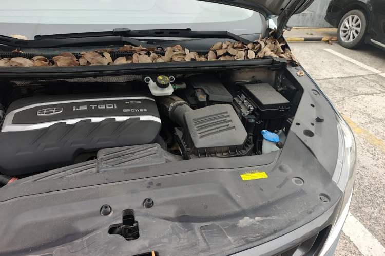 Used Geely Auto Jiajie 2019 1.5TD MHEV DCT Deluxe Edition Engine Bay Left