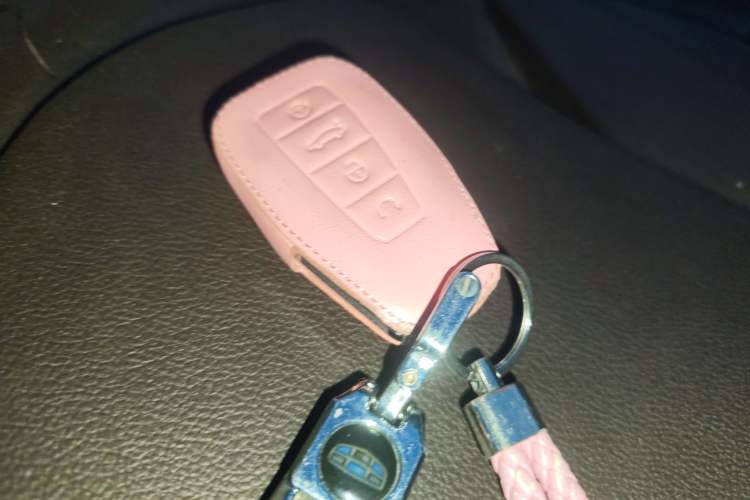 Used Geely Auto Jiajie 2019 1.5TD MHEV DCT Deluxe Edition Vehicle Key
