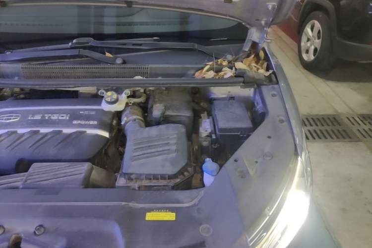 Used Geely Auto Jiajie 2019 1.5TD MHEV DCT Luxury Edition Engine Bay Left