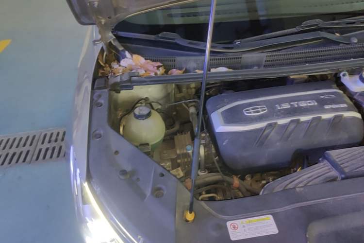 Used Geely Auto Jiajie 2019 1.5TD MHEV DCT Luxury Edition Engine Bay Right