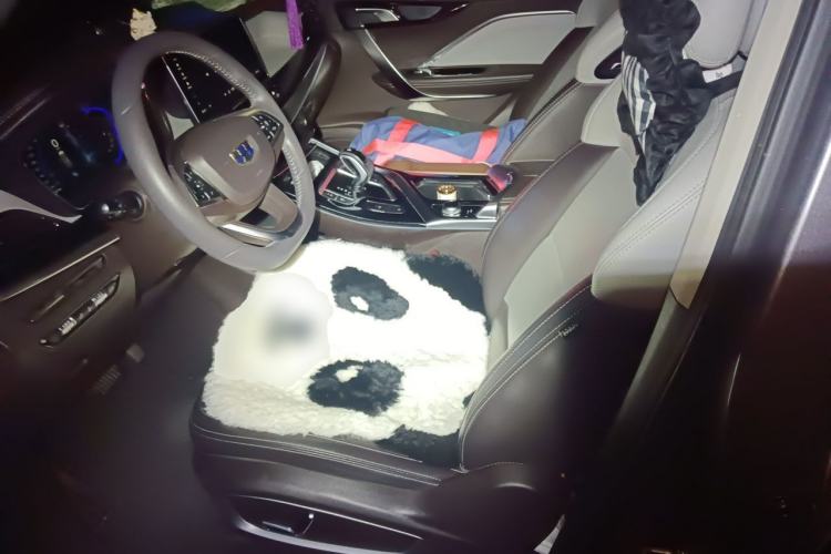 Used Geely Auto Jiajie 2019 1.5TD MHEV DCT Luxury Edition Left Front Seat