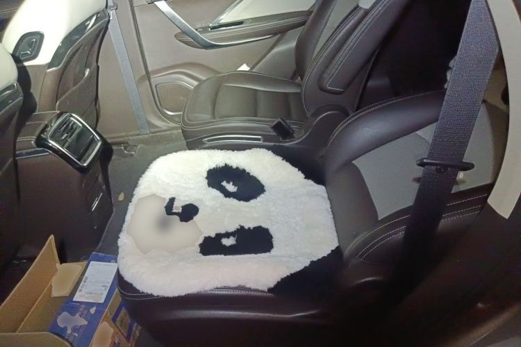 Used Geely Auto Jiajie 2019 1.5TD MHEV DCT Luxury Edition Left Rear Seat