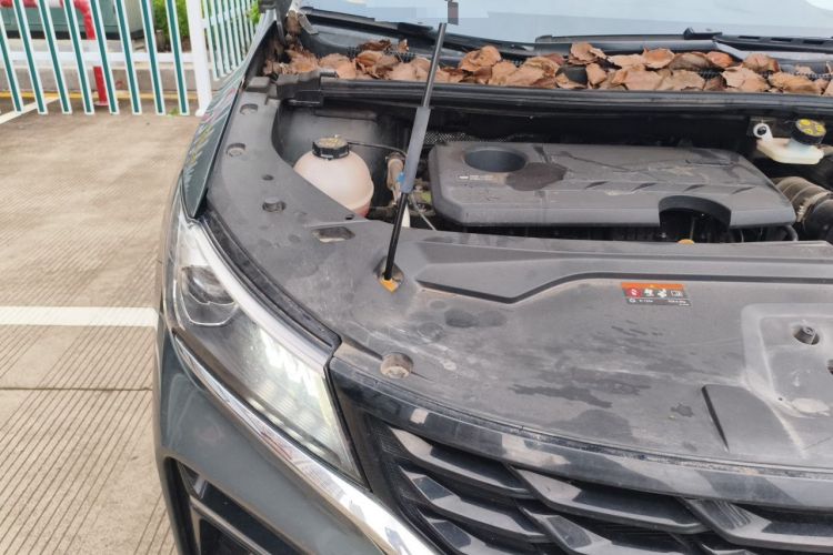Used Geely Auto Jiajie 2025 1.5TD DCT Dragon Edition Engine Bay Right
