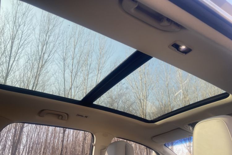 Used Geely Auto Jiajie New Energy 2019 1.5TD PHEV Yaoxiang Edition Headliner
