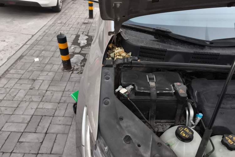 Used Geely Auto Jiajie New Energy 2019 1.5TD PHEV Deluxe Edition Engine Bay Right