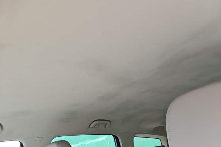 Used Geely Auto Jiajie New Energy 2021 ePro 1.5TD PHEV Comfort Edition Headliner