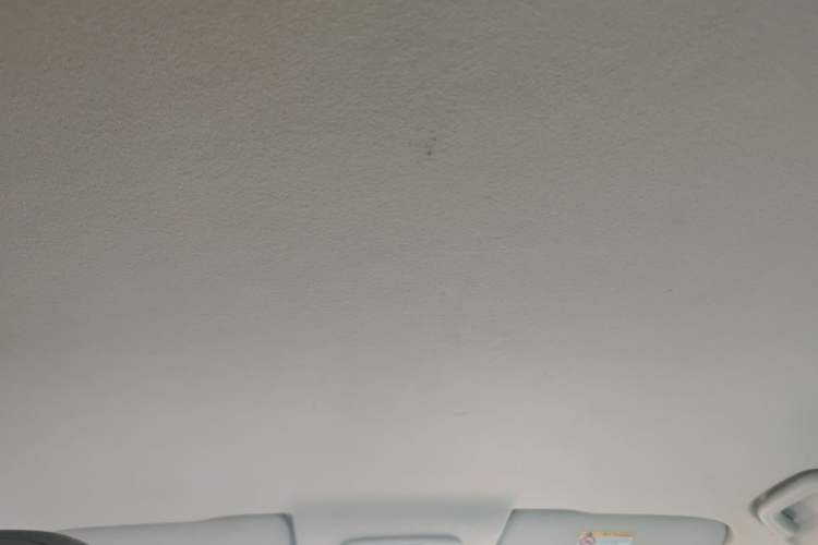 Used Geely Auto Jiajie New Energy 2021 ePro 1.5TD PHEV Comfort Edition Headliner