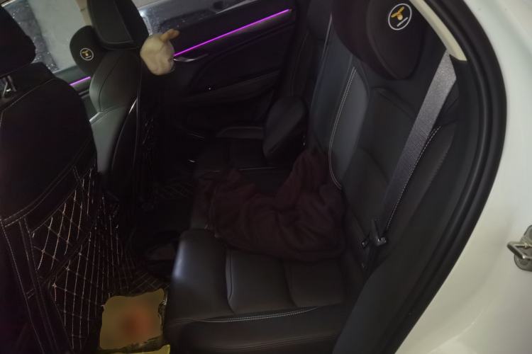 Used Geely Auto Monjaro 2020 High-Energy Edition 350T Yáoxīngzhě Left Rear Seat