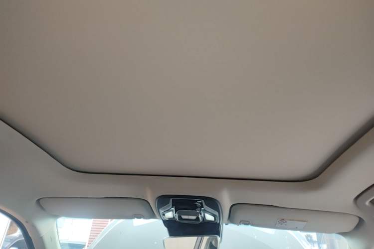 Used Geely Auto Monjaro 2019 300T YAOXINGZHE Headliner