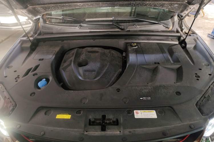 Used Geely Auto Monjaro 2019 350T Yuxingzhe Engine Bay