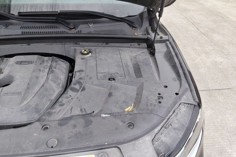 Used Geely Auto Monjaro 2019 350T Yuxingzhe Engine Bay Left