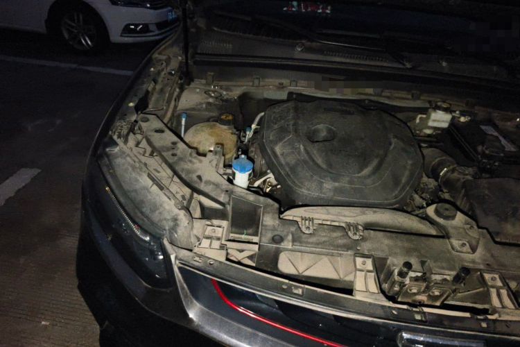 Used Geely Auto Monjaro 2019 350T Dark Knight Limited Edition Engine Bay Right