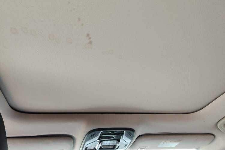 Used Geely Auto Monjaro 2019 350T Yuxingzhe Headliner
