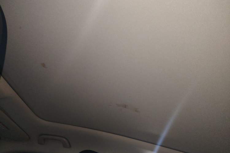 Used Geely Auto Monjaro 2019 350T Yuxingzhe Headliner