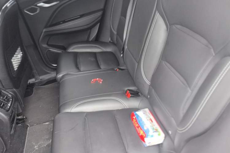 Used Geely Auto Monjaro 2019 Facelift 350T YAOXINGZHE Left Rear Seat