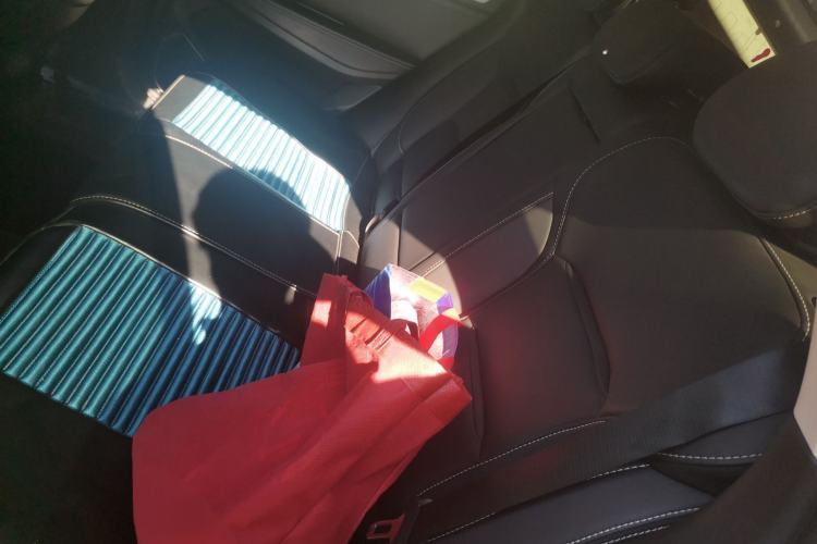 Used Geely Auto Monjaro 2019 300T YAOXINGZHE Left Rear Seat