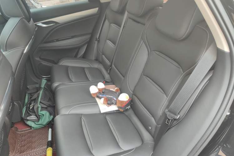 Used Geely Auto Monjaro 2019 Facelift 300T Yaxingzhe Left Rear Seat