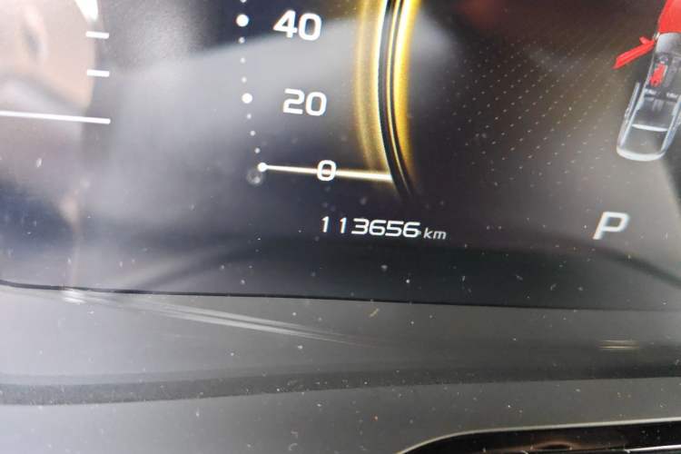 Used Geely Auto Monjaro 2019 350T YAOXINGZHE Odometer Close Up