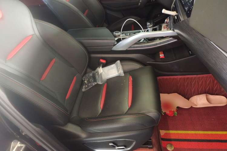 Used Geely Auto Monjaro 2019 350T Yuxingzhe Right Front Seat