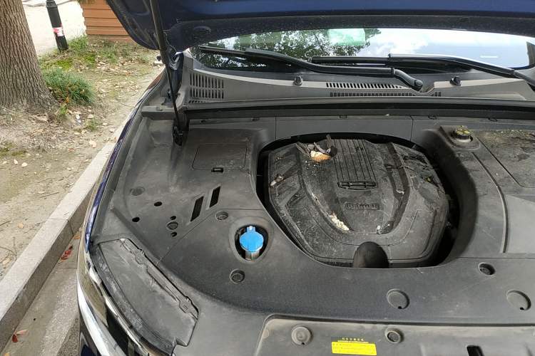 Used Geely Auto Monjaro 2019 300T YAOXINGZHE Engine Bay Right
