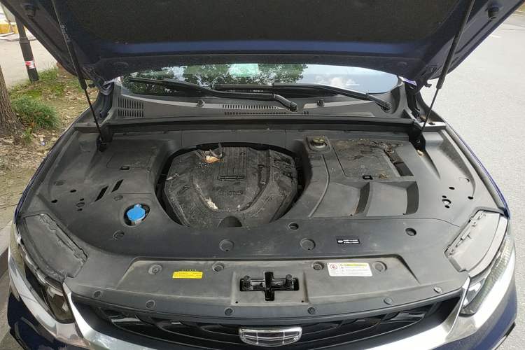 Used Geely Auto Monjaro 2019 300T YAOXINGZHE Engine Bay