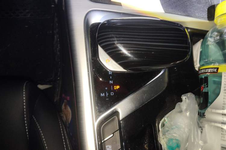 Used Geely Auto Monjaro 2019 300T YAOXINGZHE Gear Lever