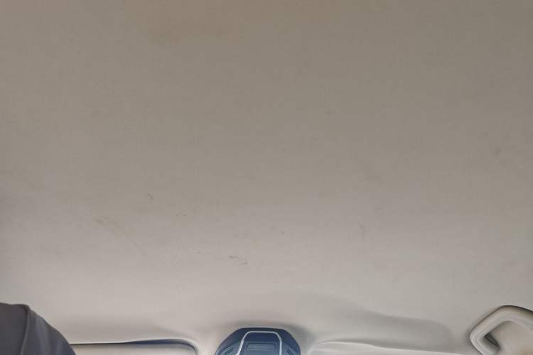 Used Geely Auto Monjaro 2019 300T Explorer Headliner