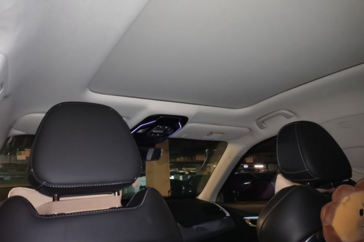 Used Geely Auto Monjaro 2019 300T YAOXINGZHE Headliner