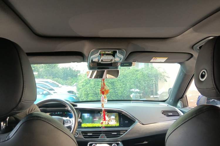 Used Geely Auto Monjaro 2019 350T Yuxingzhe Headliner