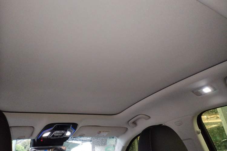Used Geely Auto Monjaro 2019 350T YAOXINGZHE Headliner