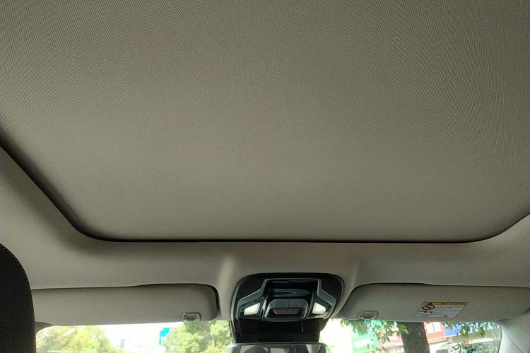 Used Geely Auto Monjaro 2019 300T YAOXINGZHE Headliner