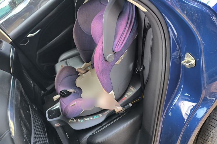 Used Geely Auto Monjaro 2019 350T YAOXINGZHE Left Rear Seat