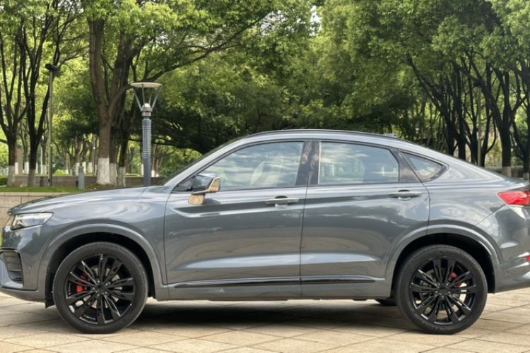 Used Geely Auto Monjaro 2019 Updated Version 350T Yuxingzhe AWD Exterior 3
