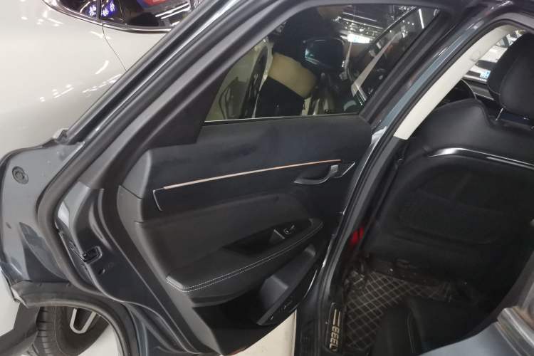 Used Geely Auto Monjaro 2019 350T YAOXINGZHE Left Rear Door Interior