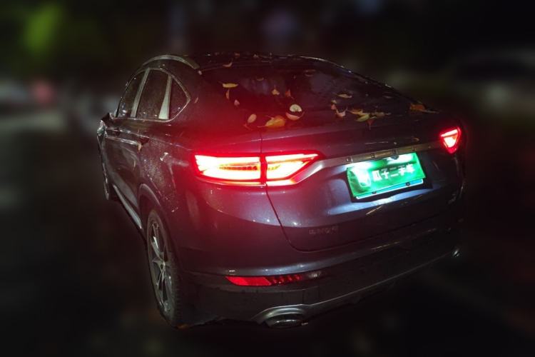Used Geely Auto Monjaro 2019 300T YAOXINGZHE Rear Left 45 Deg