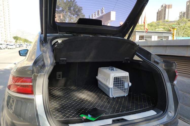 Used Geely Auto Monjaro 2019 300T YAOXINGZHE Trunk