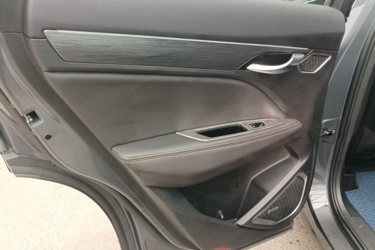 Used Geely Auto Monjaro 2019 350T YAOXINGZHE Left Rear Door Interior