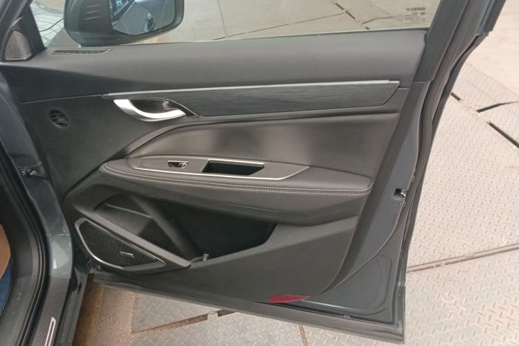 Used Geely Auto Monjaro 2019 350T YAOXINGZHE Right Front Door Interior