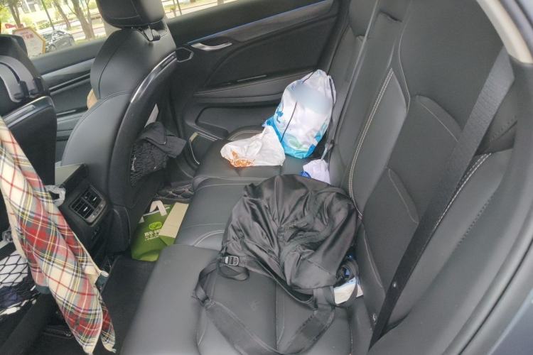 Used Geely Auto Monjaro 2019 350T YAOXINGZHE Left Rear Seat