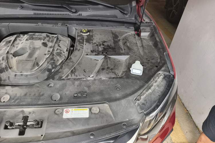Used Geely Auto Monjaro 2019 350T Yuxingzhe Engine Bay Left