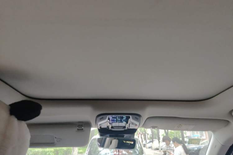 Used Geely Auto Monjaro 2019 300T YAOXINGZHE Headliner