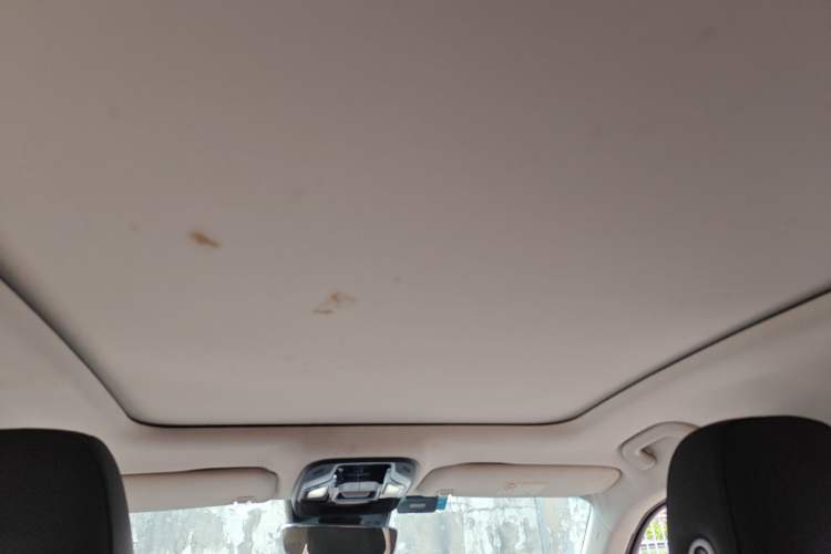 Used Geely Auto Monjaro 2019 350T Yuxingzhe Headliner