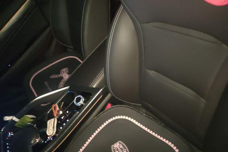 Used Geely Auto Monjaro 2019 350T YAOXINGZHE Left Front Seat