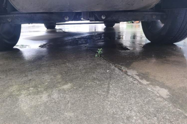 Used Geely Auto Monjaro 2019 350T YAOXINGZHE Chassis Front
