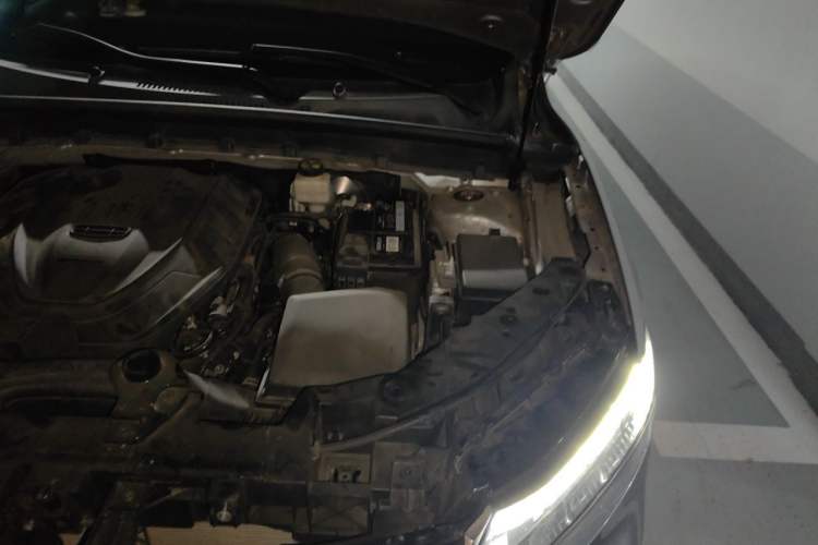 Used Geely Auto Monjaro 2019 Facelift 300T Yaxingzhe Engine Bay Left
