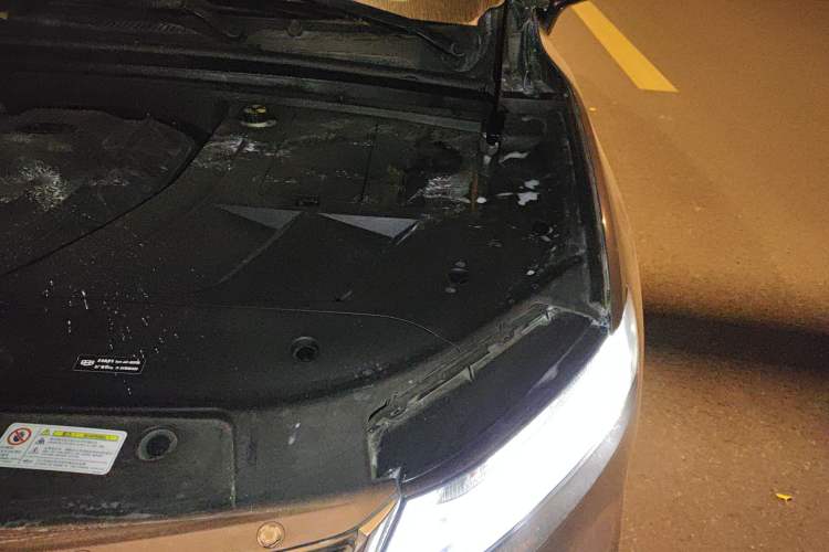 Used Geely Auto Monjaro 2019 350T Yuxingzhe Engine Bay Left
