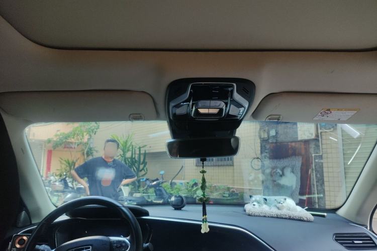 Used Geely Auto Monjaro 2019 300T YAOXINGZHE Headliner