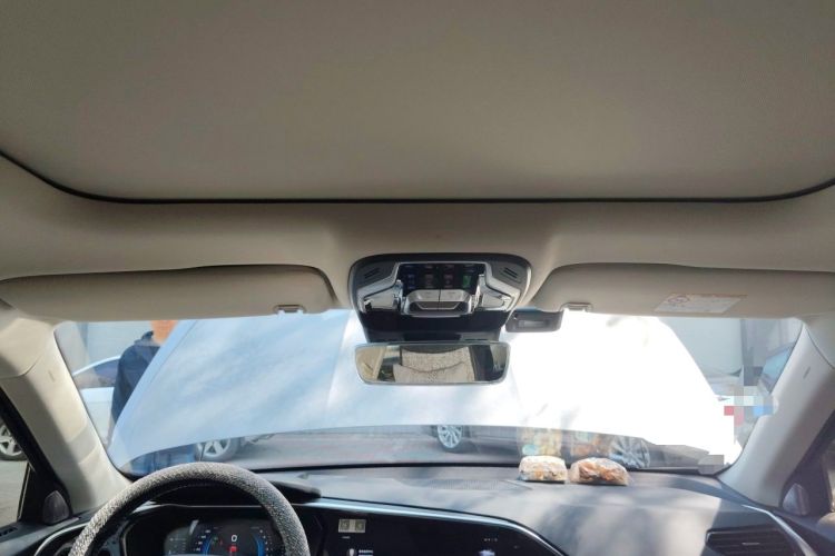 Used Geely Auto Monjaro 2019 300T YAOXINGZHE Headliner