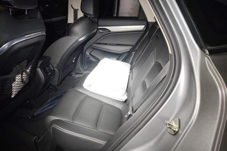 Used Geely Auto Monjaro 2019 Facelift 300T Yaxingzhe Left Rear Seat